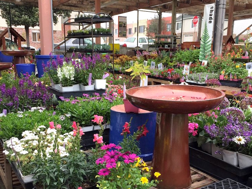 Why Garden Center Outlet Need To Be Looking For Garden Deals?